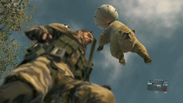 Also bears.